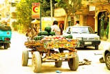 A Donkey Cart on El Bitash Avenue
