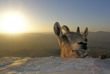 DSCN5310.JPG