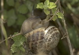 Toskana 0682.jpg