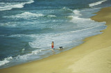 Buddina Beach, near Point Cartwright