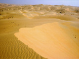 Liwa Oasis on the edge of the Empty Quarter