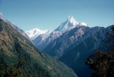 Machhapuchhre (Machapuchare or Fish Tail) from the Mardi Khola Valley, Nepal