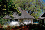 Thatched rondavels at Club Makokola on Lake Malawi