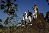 Wildlife spotting, Liwonde National Park