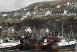 Harbour at Mallaig