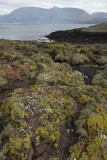 Sallachan Skerries, Loch Linnhe