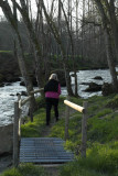 Riverbank walk near Les Mezerais