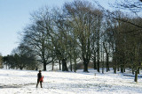 Hampstead Heath in winter 2004