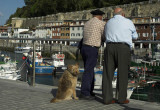 The marina at San Sebastian