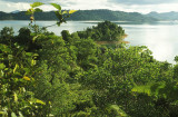 Forest-clad lake at Batang Ai