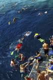 Snorkelling at Hardy Reef