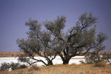 Saltpan at Poeppel Corner