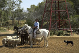 Rusty Frames demonstration at the Stockmans Hall of Fame, Longreach