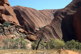 Mutitjulu waterhole, Uluru (Ayers Rock)