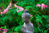 Buddha Garden M.jpg