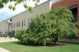 Oberlin College Campus 2005-29.jpg