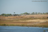 PB_DSC_0207.JPG