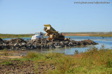 PB_DSC_0264.JPG
