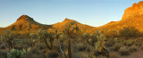 Sonoran Desert First Morning Light