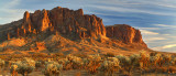 Superstitions & Chollo Garden
