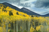 Flagstaff Locketts Meadow & Stormy Sky