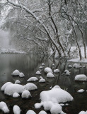 Oak Creek & Snowy Rocks