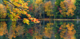 Paul Smiths - Pond Reflection Panoramic