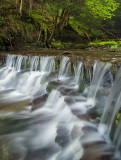 Wolf Creek Cascade Closeup