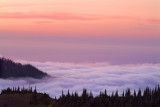 Olympic NP - Hurricane Ridge Purple Fog Bank