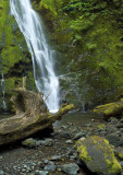 Olympic NP - Madison Falls