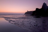 Olympic NP - Ruby Beach Purple Dusk
