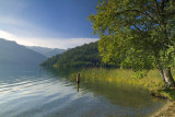 Olympic NP - Lake Crescent