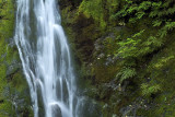 Olympic NP - Madison Falls Closeup