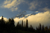Mt Rainier NP - Foggy Rainier Peak