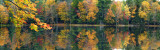 Adirondacks - Paul Smiths Pond Reflection (20x63)