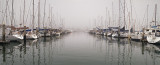 Foggy Santa Barbara Harbor (15x36)