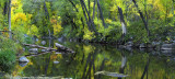 Oak Creek Reflection (23x51)