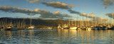 Santa Barbara Harbor Late Afternoon (20x52)