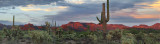 Superstition Mountains - Peralta Trail Red Mountains (16x59)