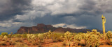 Superstitions  Chollos Under Storm Clouds 22x57