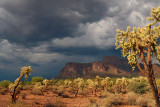 Superstitions  Chollos Under Storm Clouds 23x35