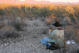 Aleta begins her painting of the young Saguaro.