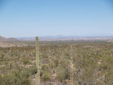 Central Phoenix in the background