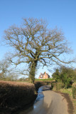 Feb 3 - Country Lane