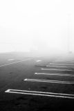 November 19th - Fog