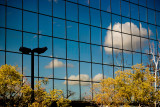 January 5th - Reflections Of...