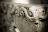February 11th - Planter Detail