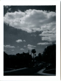 Polaroids