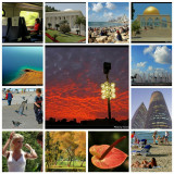 Some Favorites.jpg