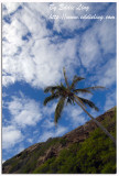 Hanauma Bay